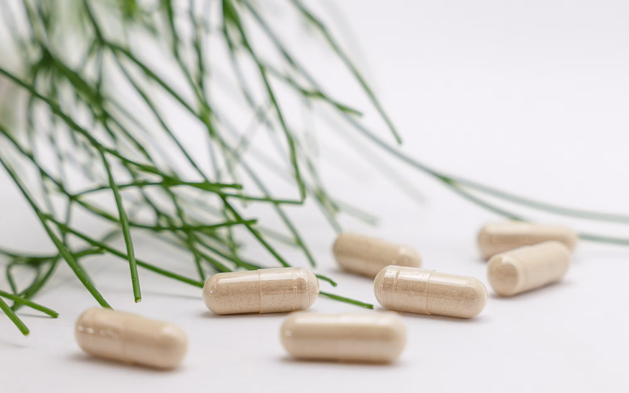 Exploring the Future of Personalized Medicine: Tailoring Treatments to the Individual